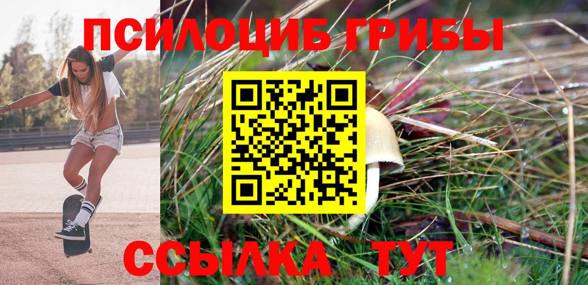 Псилоцибиновые грибы прущие грибы Норильск