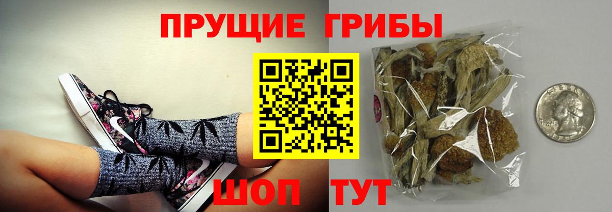Галлюциногенные грибы Psilocybe  Вход с VPN  Псилоцибиновые грибы Psilocybine cubensis  Норильск 